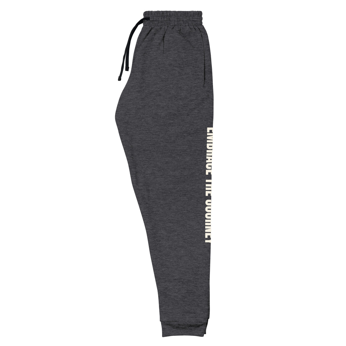 Embrace the Journey joggers in Charcoal Heather — left-front view