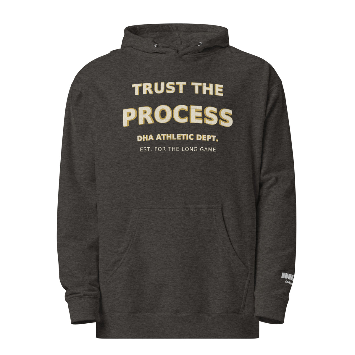Trust the Process hoodie in Charcoal Heather — front view