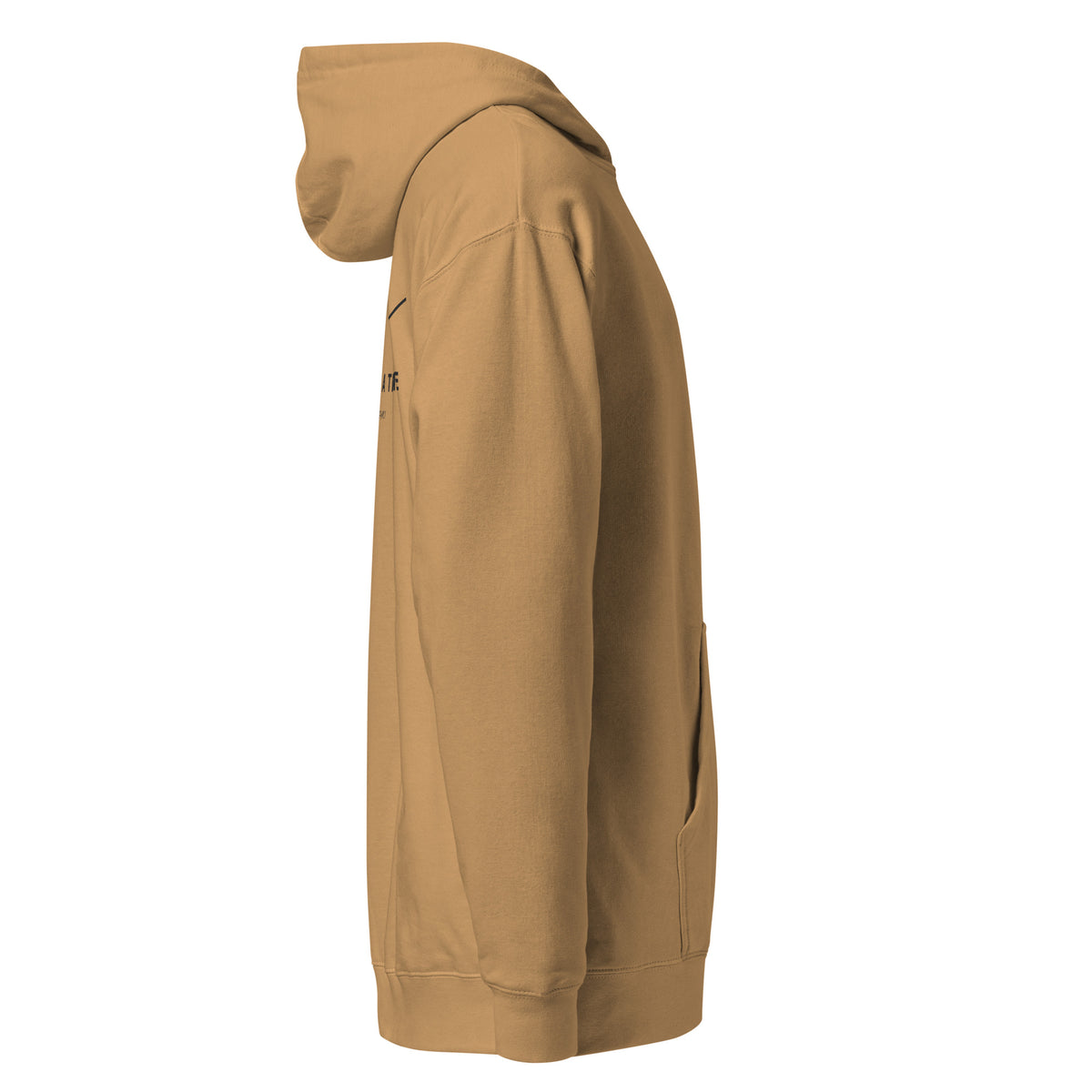 One Step at a Time Hoodie in Sandstone — right view
