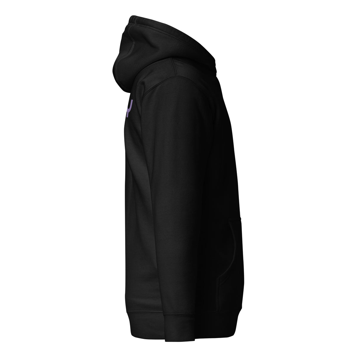 GOD BODY ACTIVATED Hoodie – Embroidered — Crown, black right side view