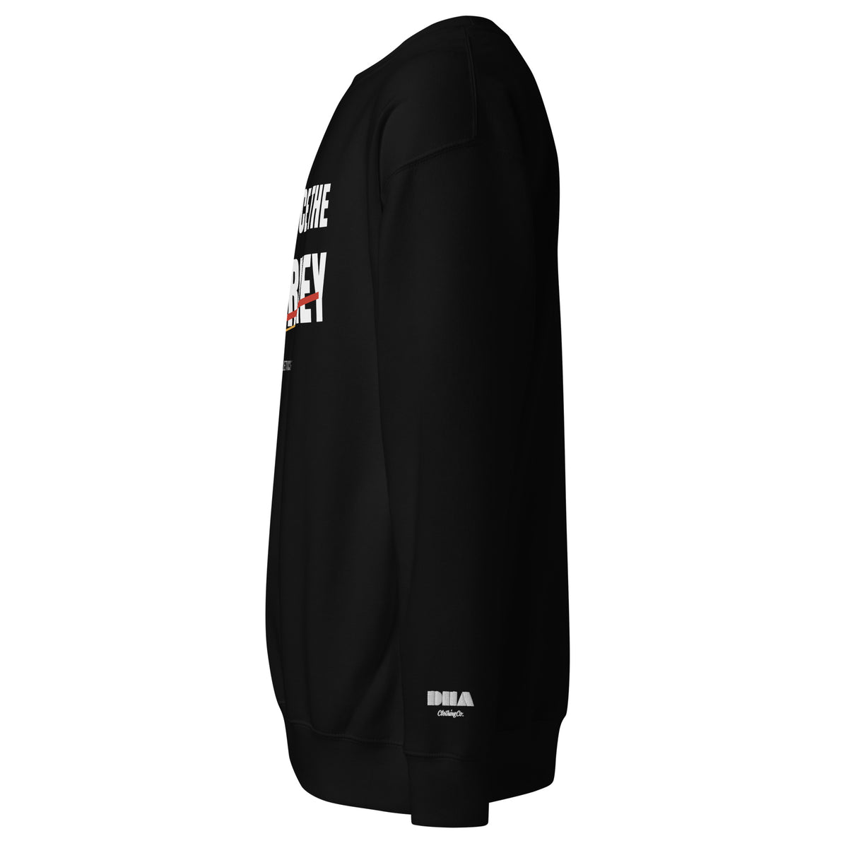 Embrace the Journey Speed Slash Crewneck Sweatshirt in Black — left side view