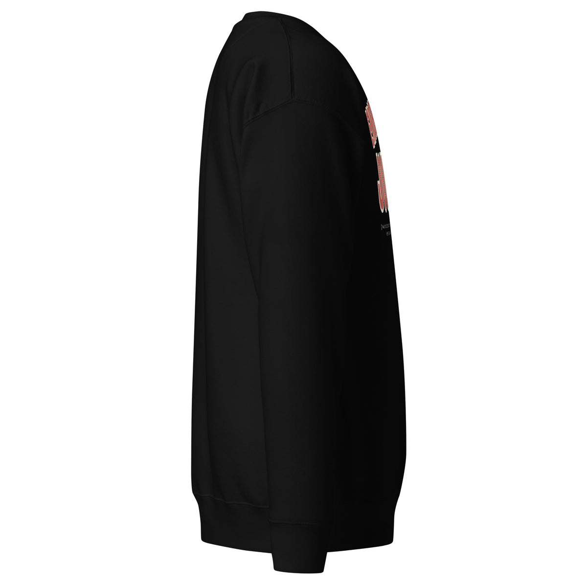 Embrace the Journey Varsity Arch Crewneck Sweatshirt in Black — right side view
