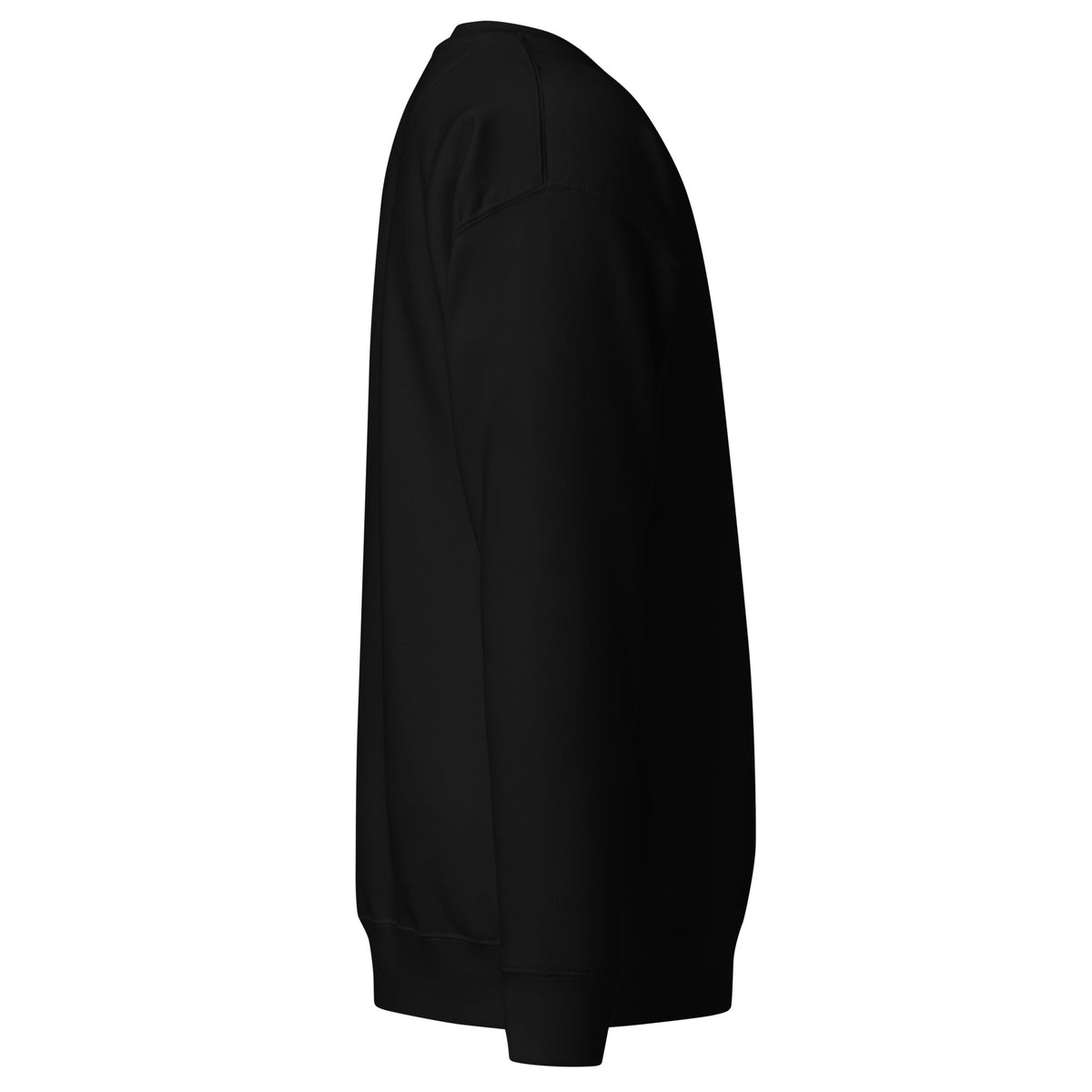 Summit Emblem Hoodie in Black — right side view