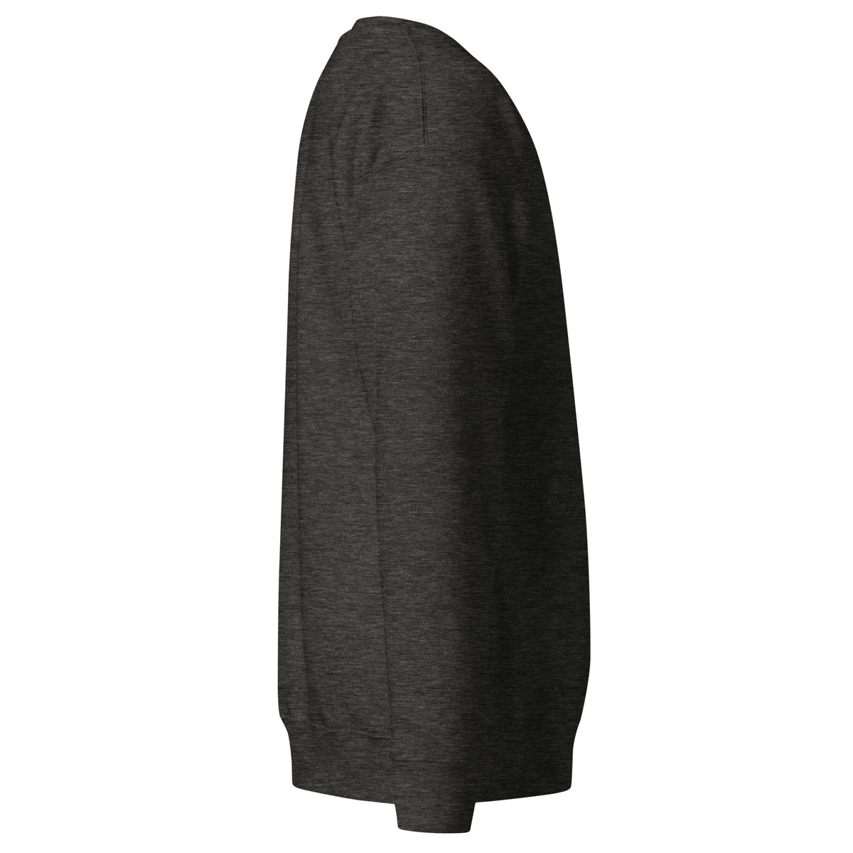 Summit Emblem Hoodie in Charcoal Heather — right side view