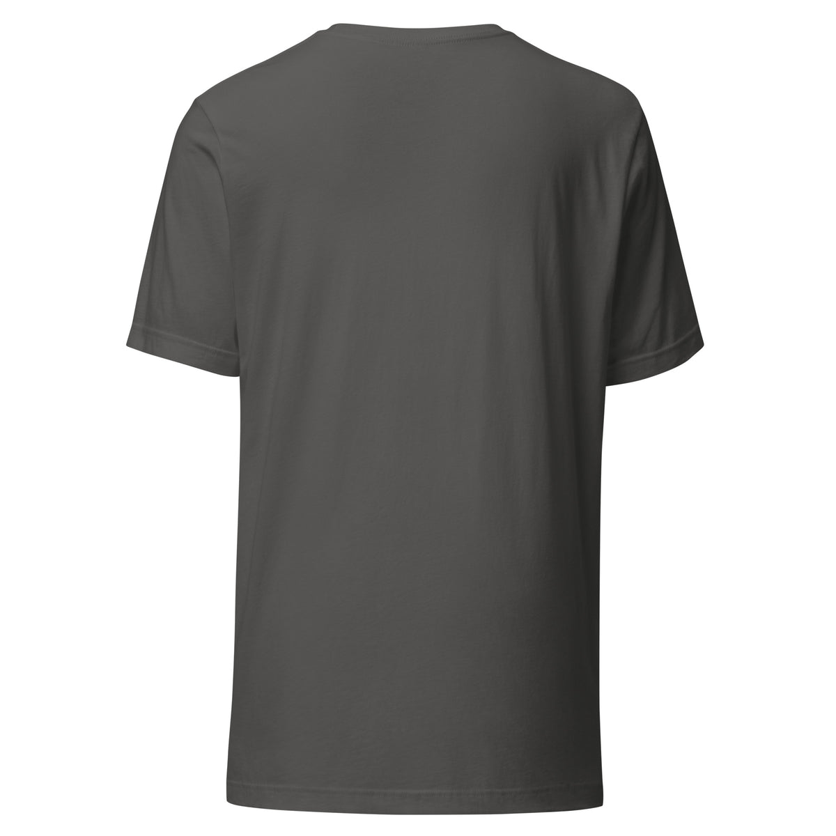 Embrace the Journey athletic t-shirt in Asphalt — back view